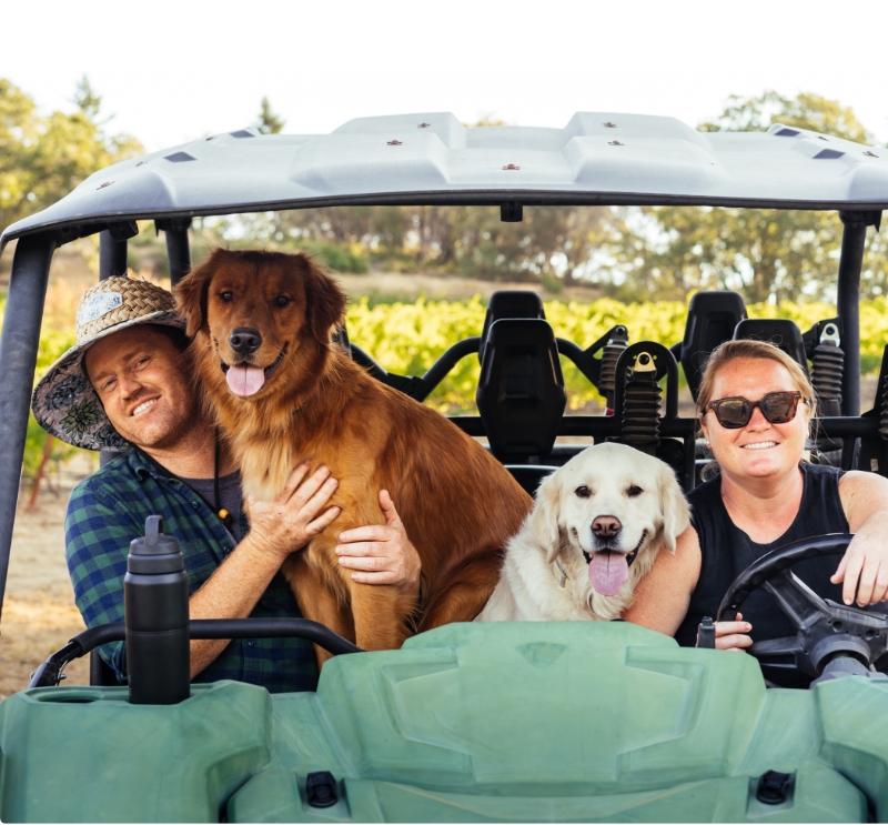 Couple with two dogs in a cart at Mayacamas Estate