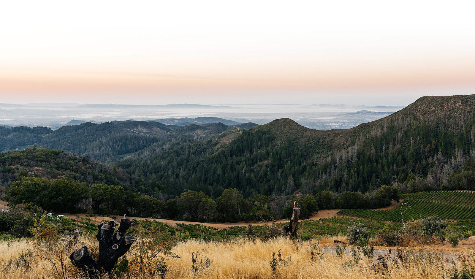 Lookout over Mayacamas Vineyards