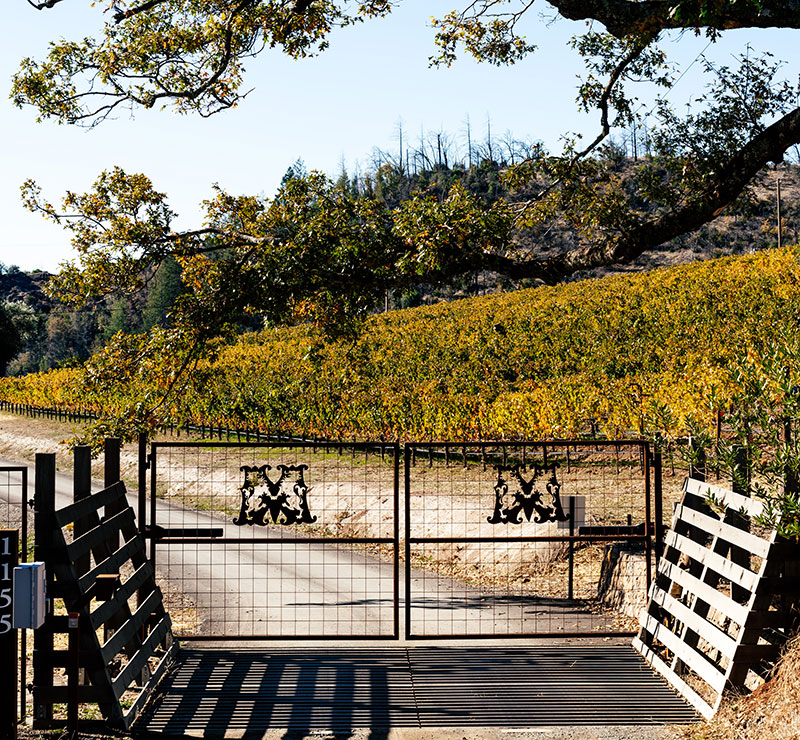 Mayamas Estate metal gates with "M" logo