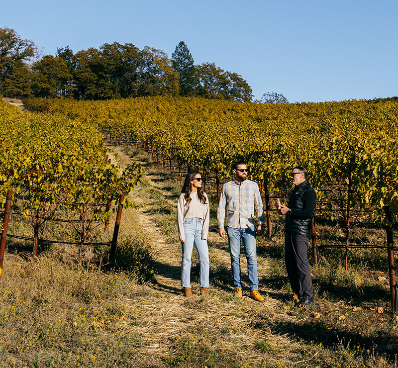 Three people talking in Mayacamas vineyard