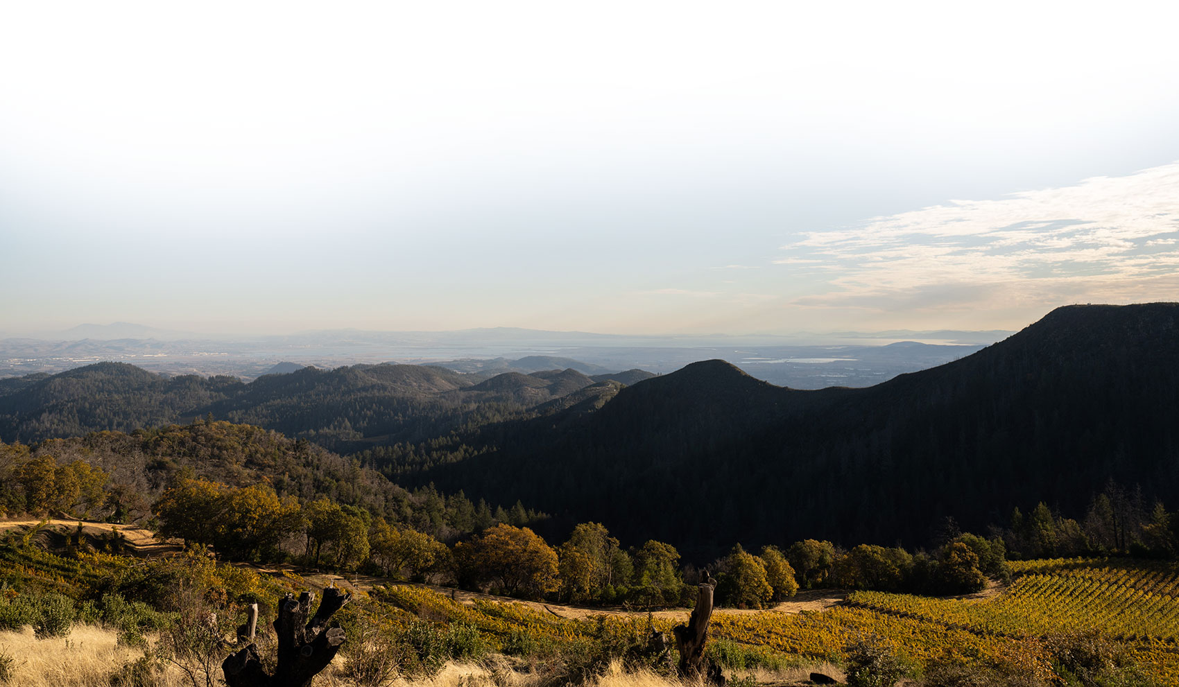 Landscape photo of Mayacamas Vineyards