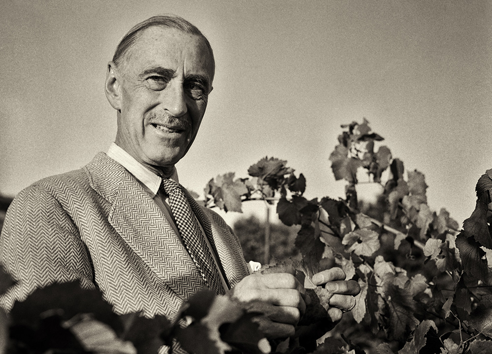 Historical photo of man in vineyard